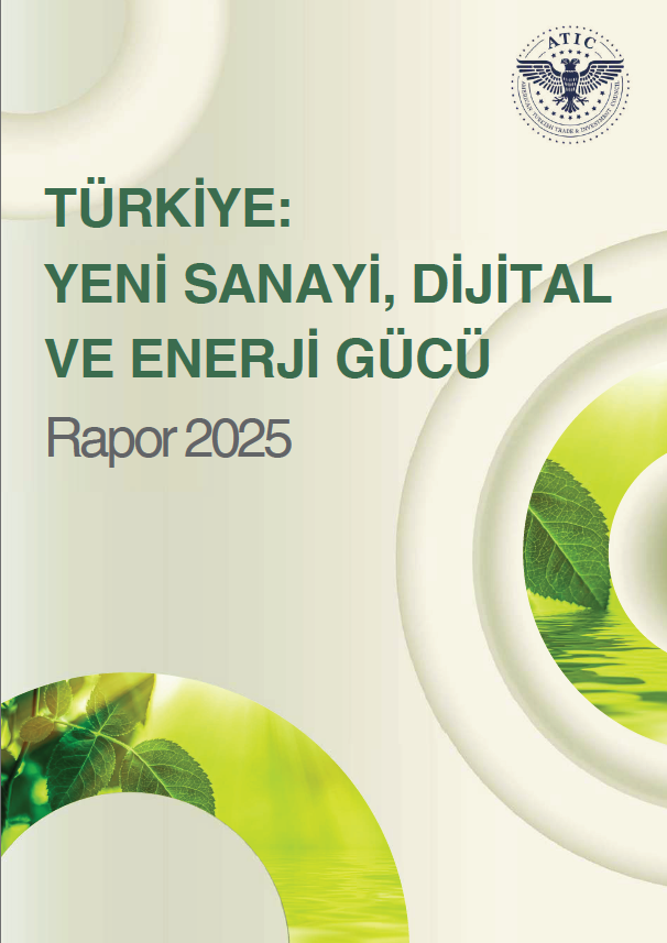 Enerji Raporu